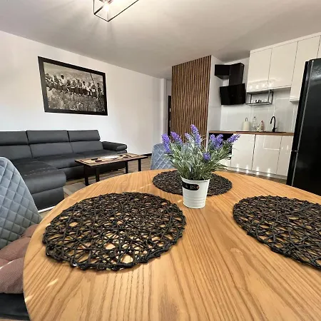 Apartment Zamkowa Lidzbark Warminski